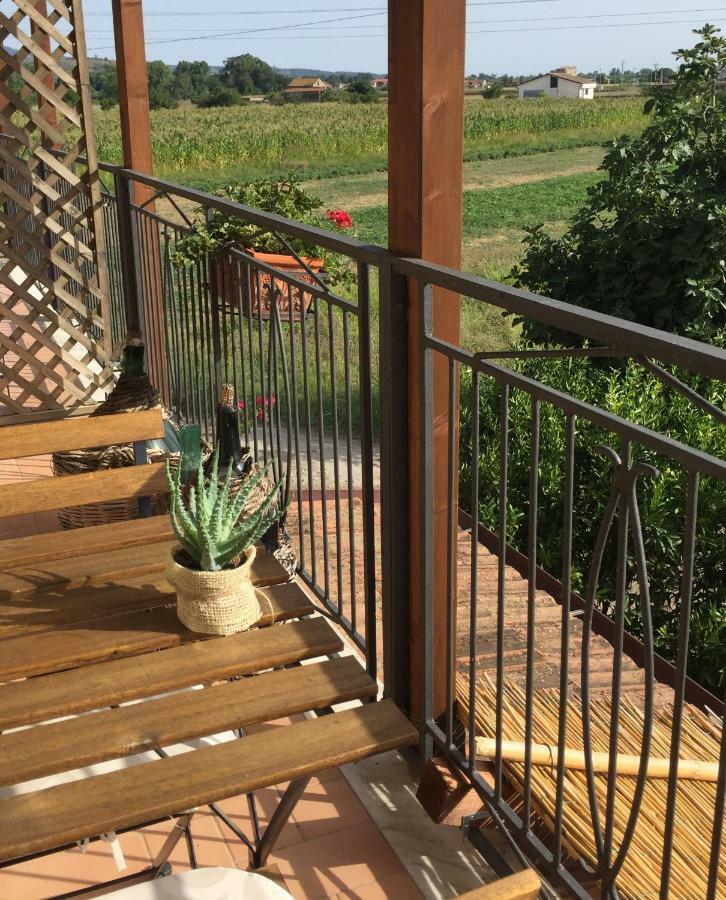 קזאל ולינו B&B La Nonnina Del Cilento מראה חיצוני תמונה