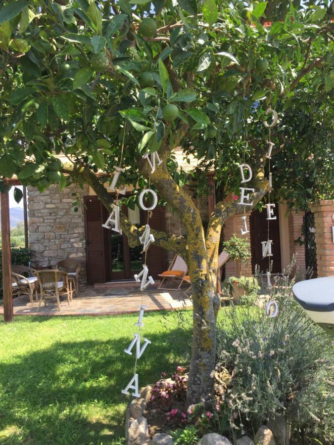 קזאל ולינו B&B La Nonnina Del Cilento מראה חיצוני תמונה