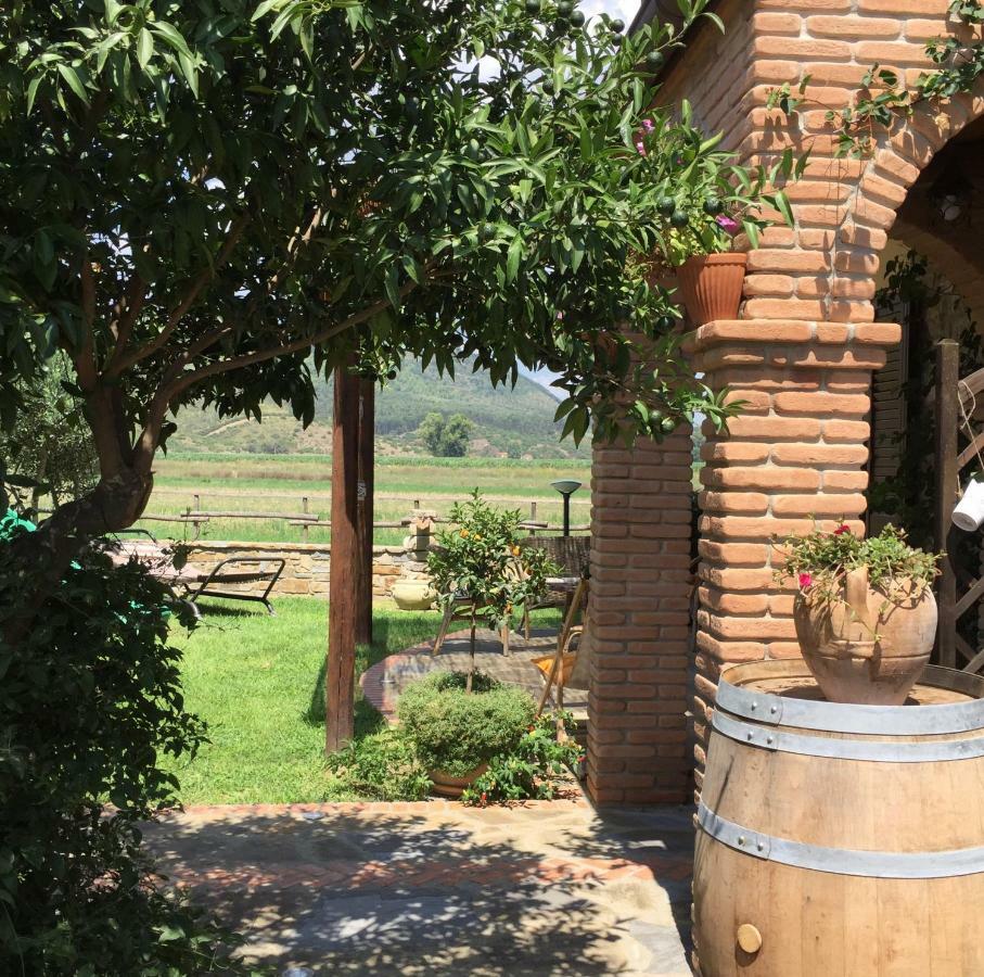 קזאל ולינו B&B La Nonnina Del Cilento מראה חיצוני תמונה